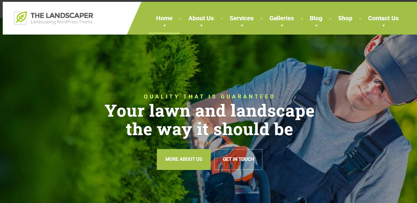 Website Design and Development Services in India